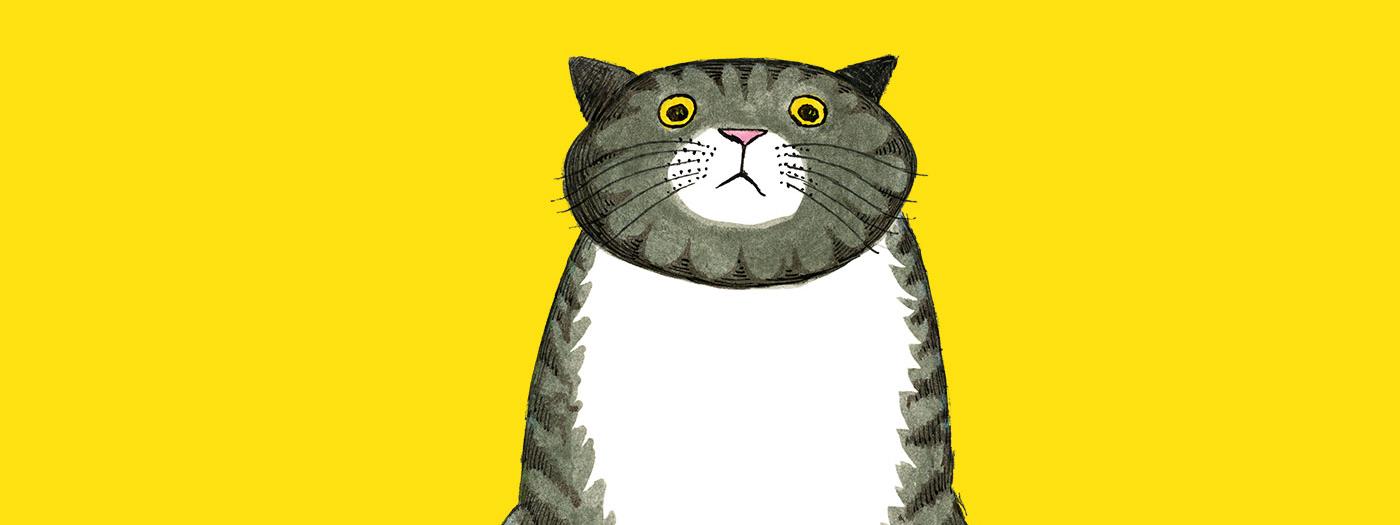 A grey and black tabby cat with a troubled face sits against a bright yellow background