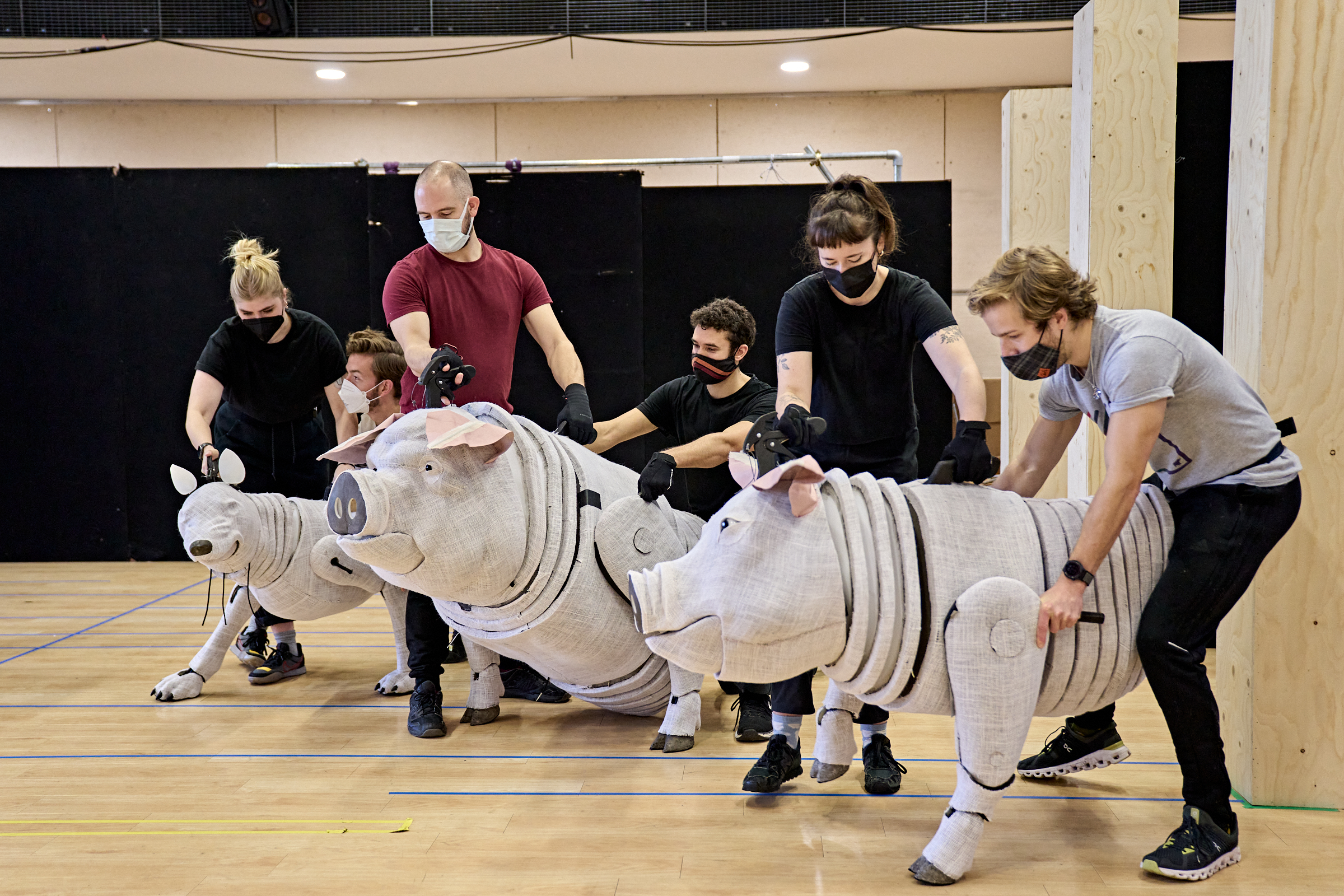 Take a look in the rehearsal room for Animal Farm | Cambridge Arts Theatre
