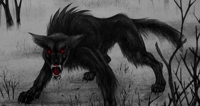 Black Shuck