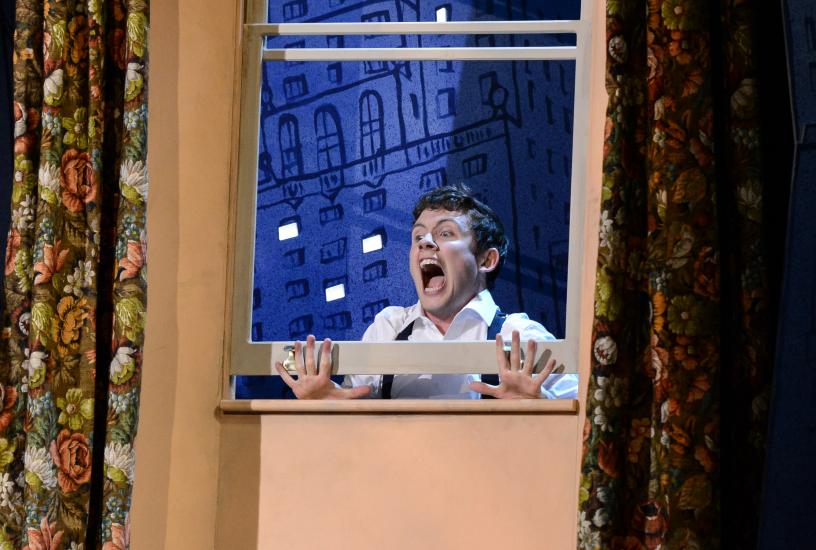A man screaming as his fingers are trapped in a window