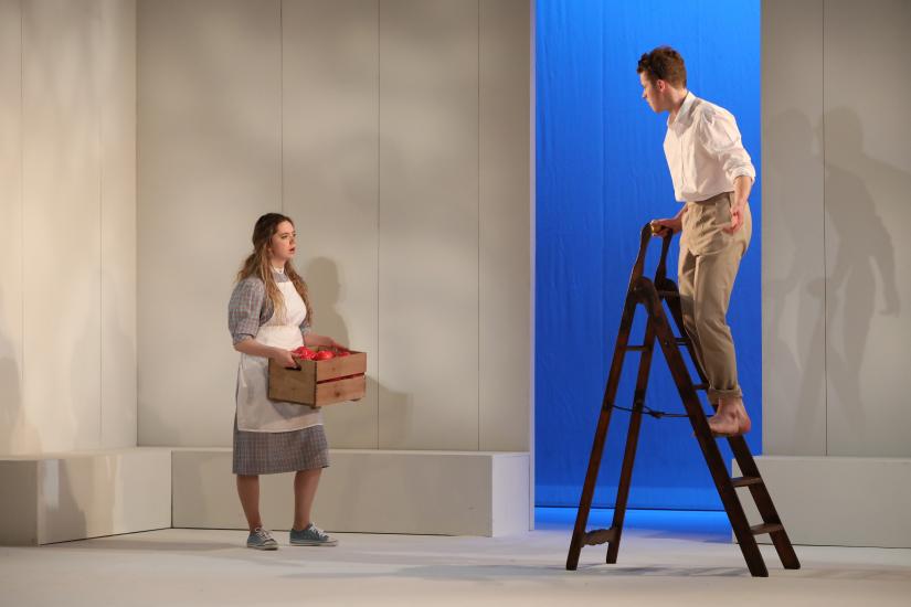 A man climbs a ladder to pick an apple