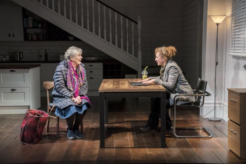 Two women discuss over a dining table