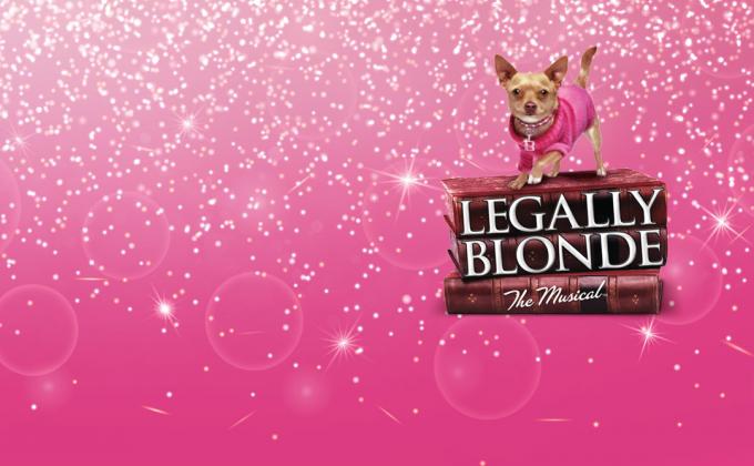 A chihuahua standing on a stack of legal books