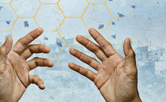 Two hands are held with palms facing the sky, in the background a honeycomb shape and bees are flying
