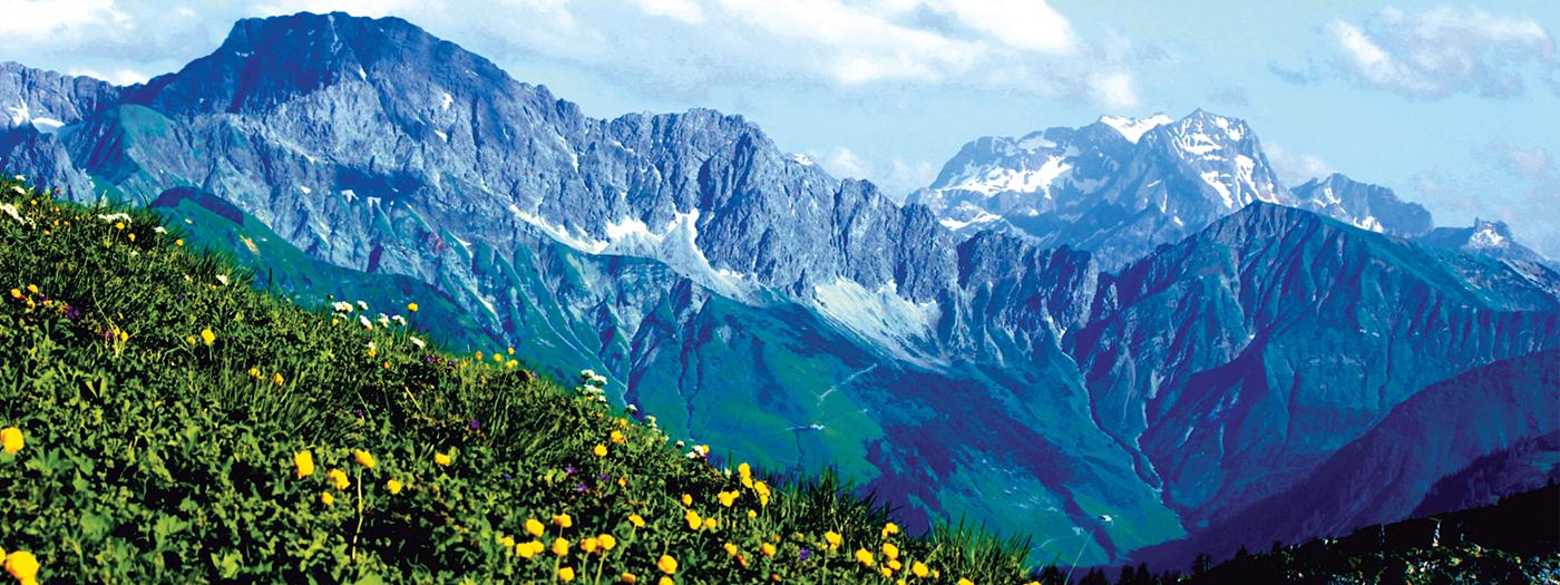 Landscape of mountains and green field